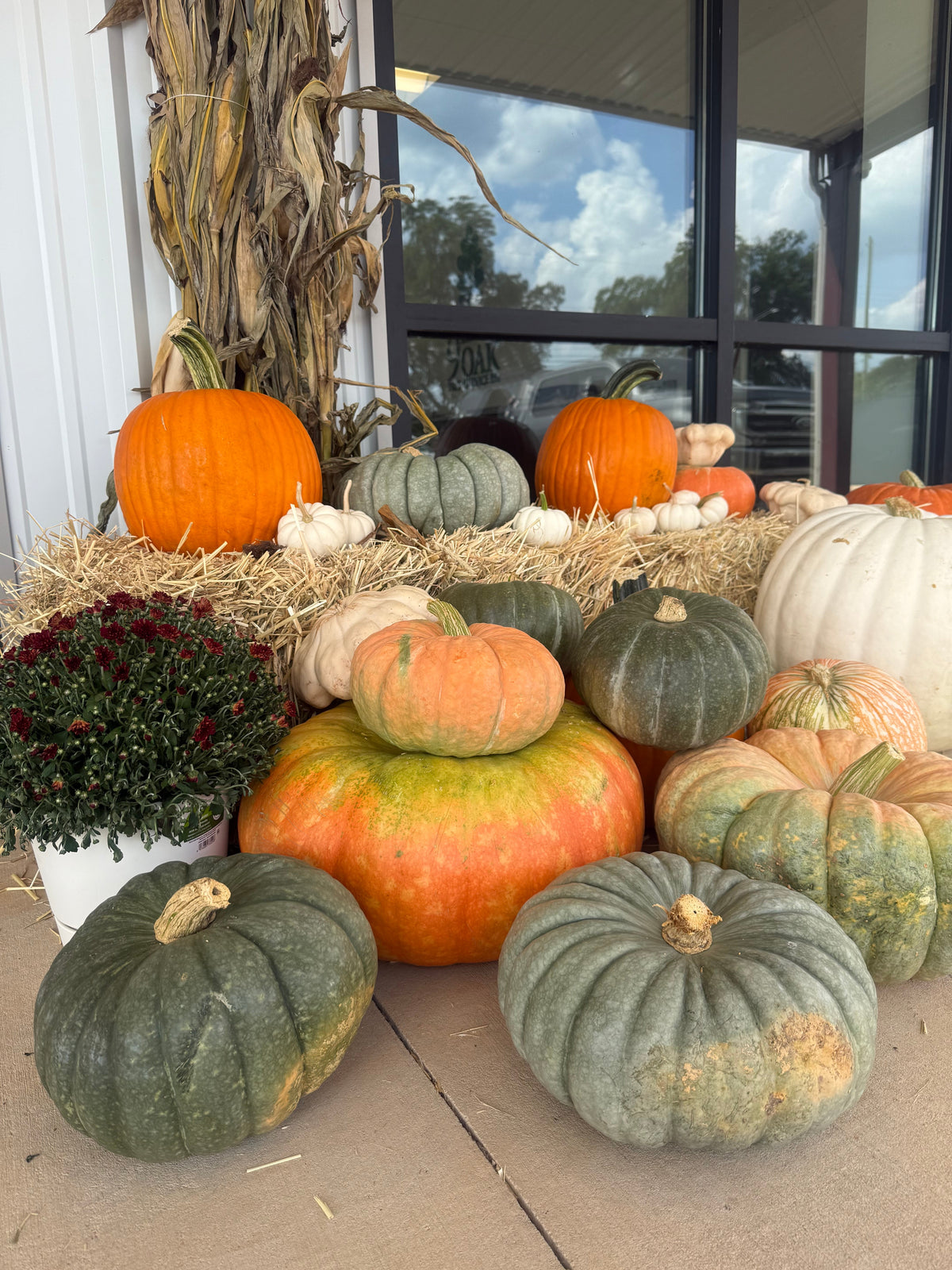 Seasonal