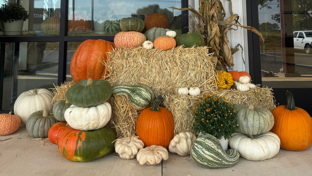 Corn Stalk Bundle
