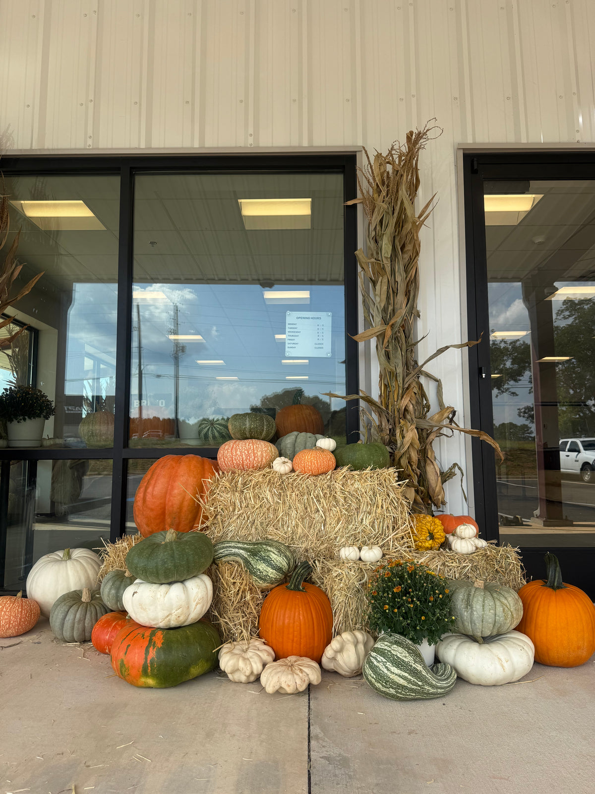 Fall at the Yard Porch Package