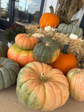 Heirloom/Specialty Pumpkins –Medium