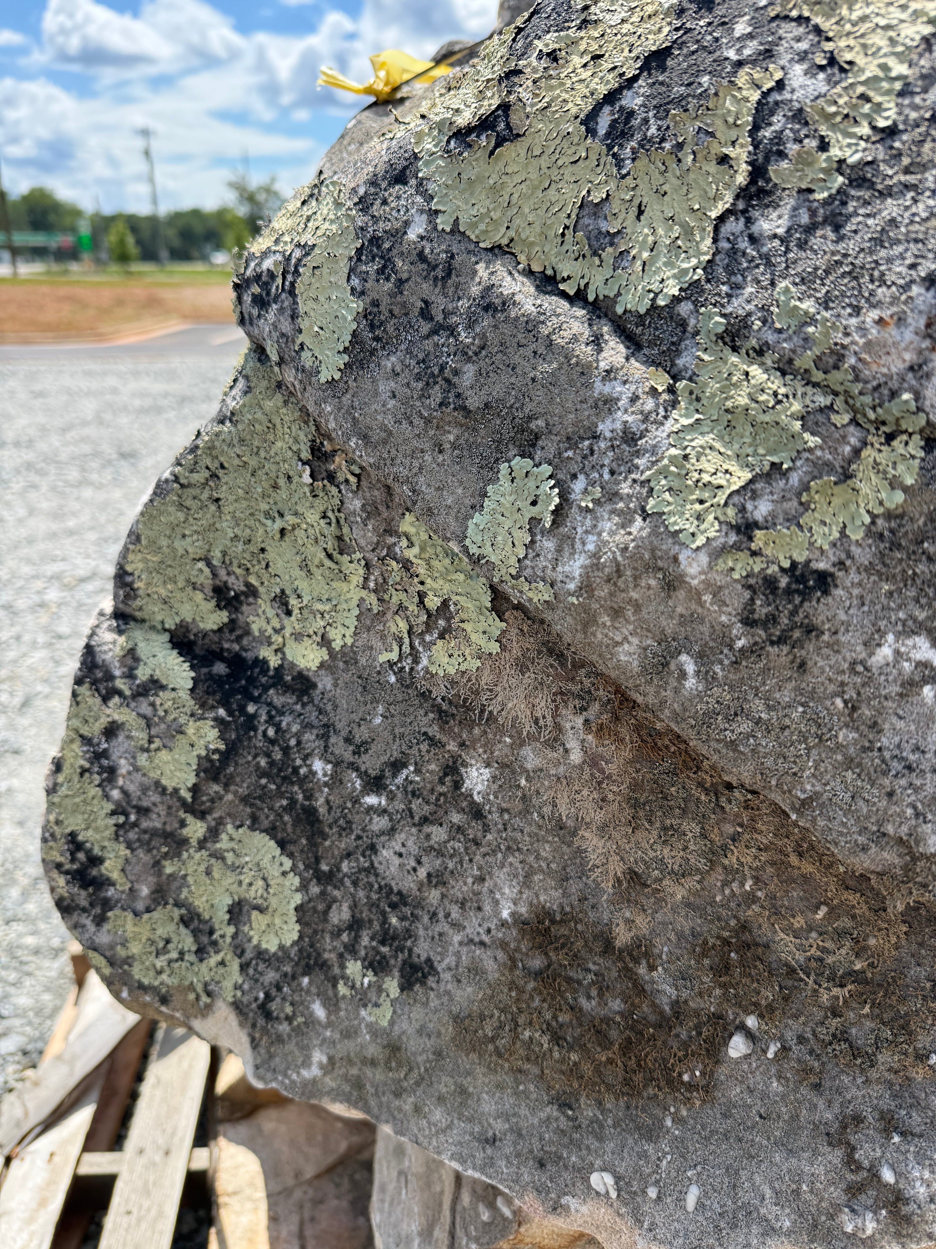 Palletized Landscape Boulders – PB01