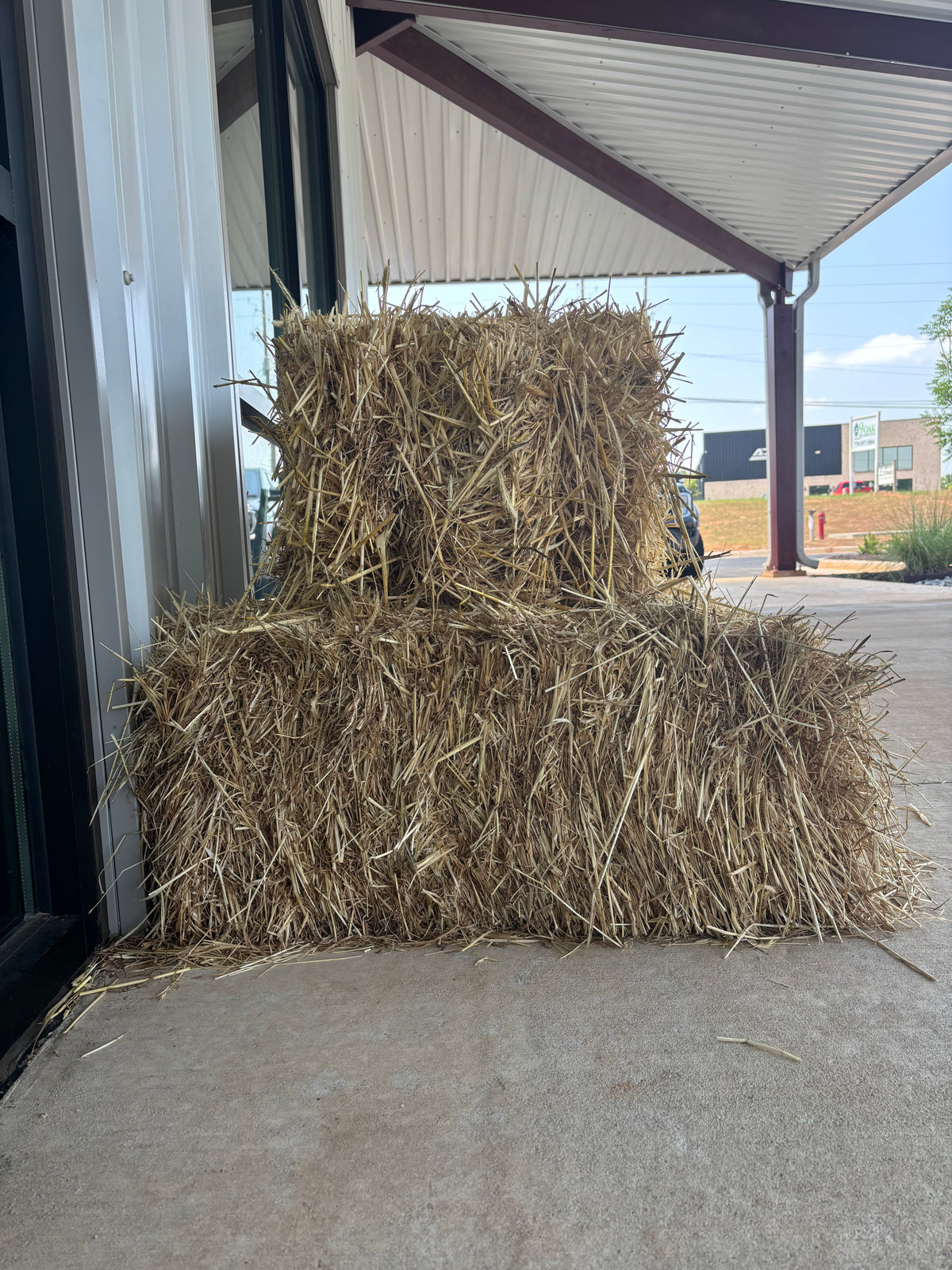 Wheat Straw Bale