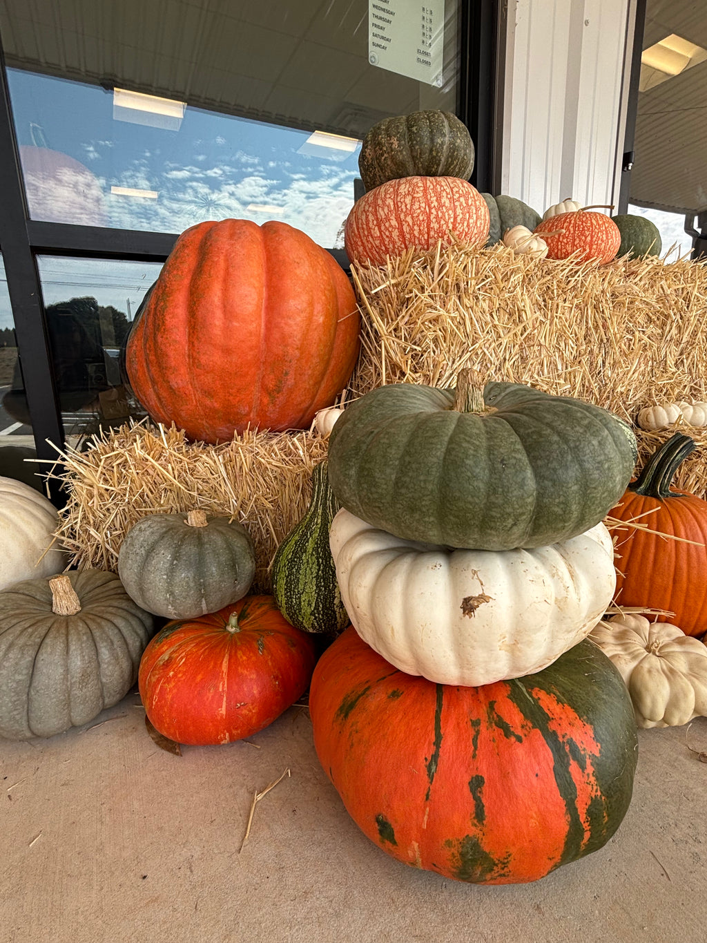 Heirloom/Specialty Pumpkins –Medium