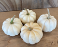 Mini Pumpkins