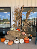 Fall at the Yard Porch Package