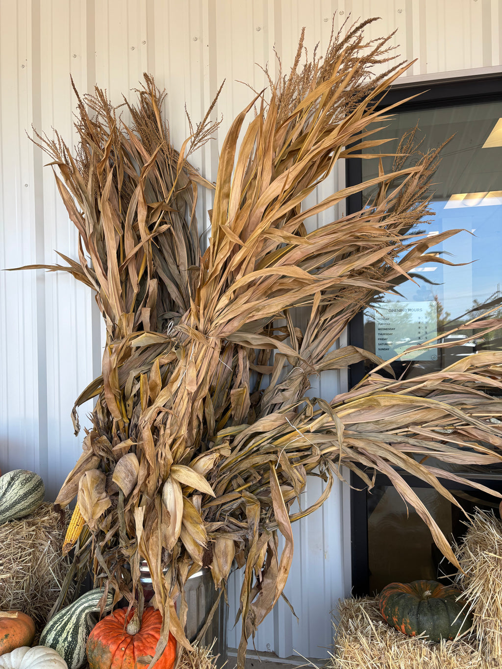 Corn Stalk Bundle