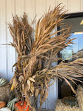 Corn Stalk Bundle