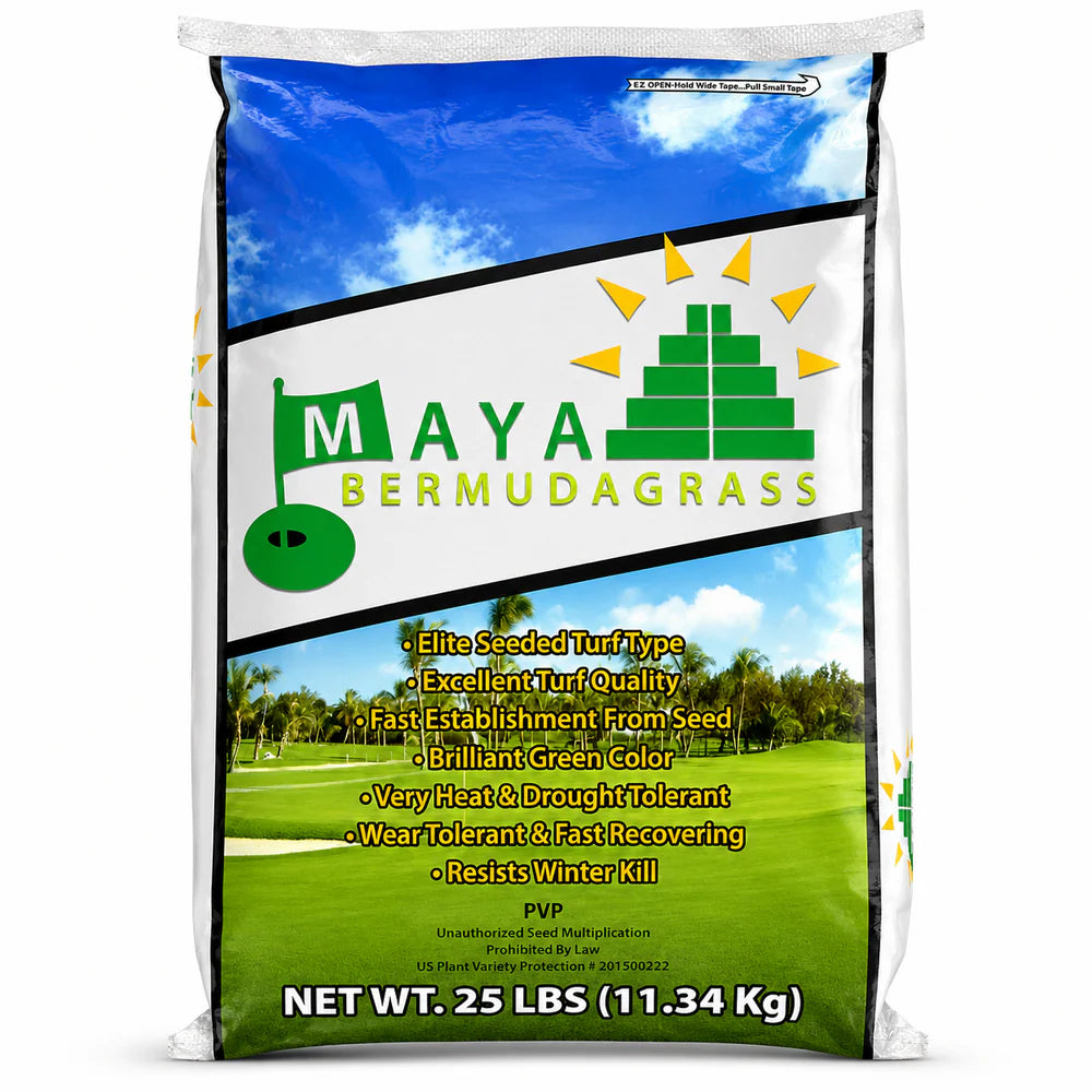 Maya Bermuda Grass Seed – 25 lb.