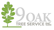 9 Oak