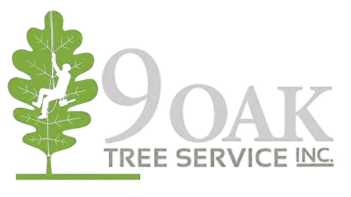 9 Oak Tree Service | Retail Yard